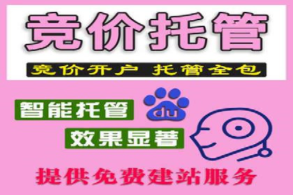 竞价推广SEM托管：提升广告效果的实战案例